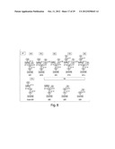 METHODS FOR THE DETECTION OF JC POLYOMA VIRUS diagram and image