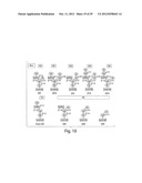 METHODS FOR THE DETECTION OF JC POLYOMA VIRUS diagram and image