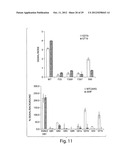 METHODS FOR THE DETECTION OF JC POLYOMA VIRUS diagram and image