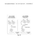 METHODS FOR THE DETECTION OF JC POLYOMA VIRUS diagram and image