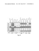 METHODS FOR THE DETECTION OF JC POLYOMA VIRUS diagram and image