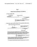 REAL-TIME MULTIPLEXING DETECTION OF TARGET NUCLEIC ACID SEQUENCES WITH     ELIMINATION OF FALSE SIGNALS diagram and image