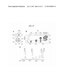 DNA-BASED MOLECULAR SWITCHES AND USES THEREOF diagram and image