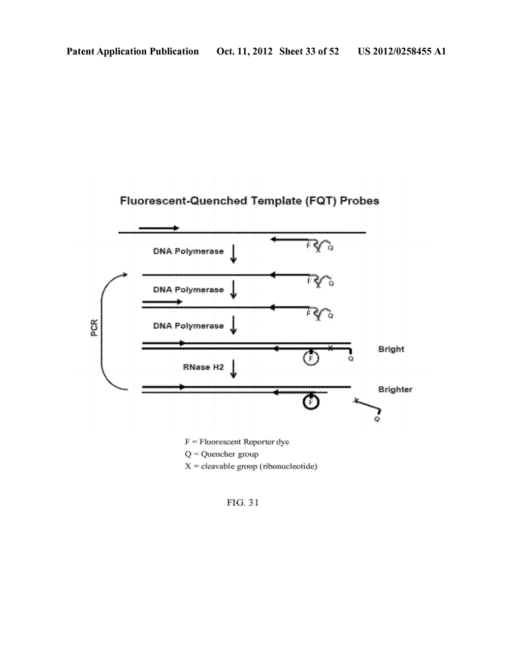 RNase H-Based Assays Utilizing Modified RNA Monomers - diagram, schematic, and image 34