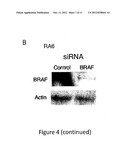 METHODS FOR DETERMINING AND INHIBITING RHEUMATOID ARTHRITIS ASSOCIATED     WITH THE BRAF ONCOGENE IN A SUBJECT diagram and image