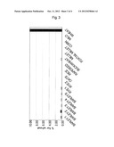 METHOD FOR DETECTION AND QUANTIFICATION OF WHEAT ENDOGENOUS GENE diagram and image