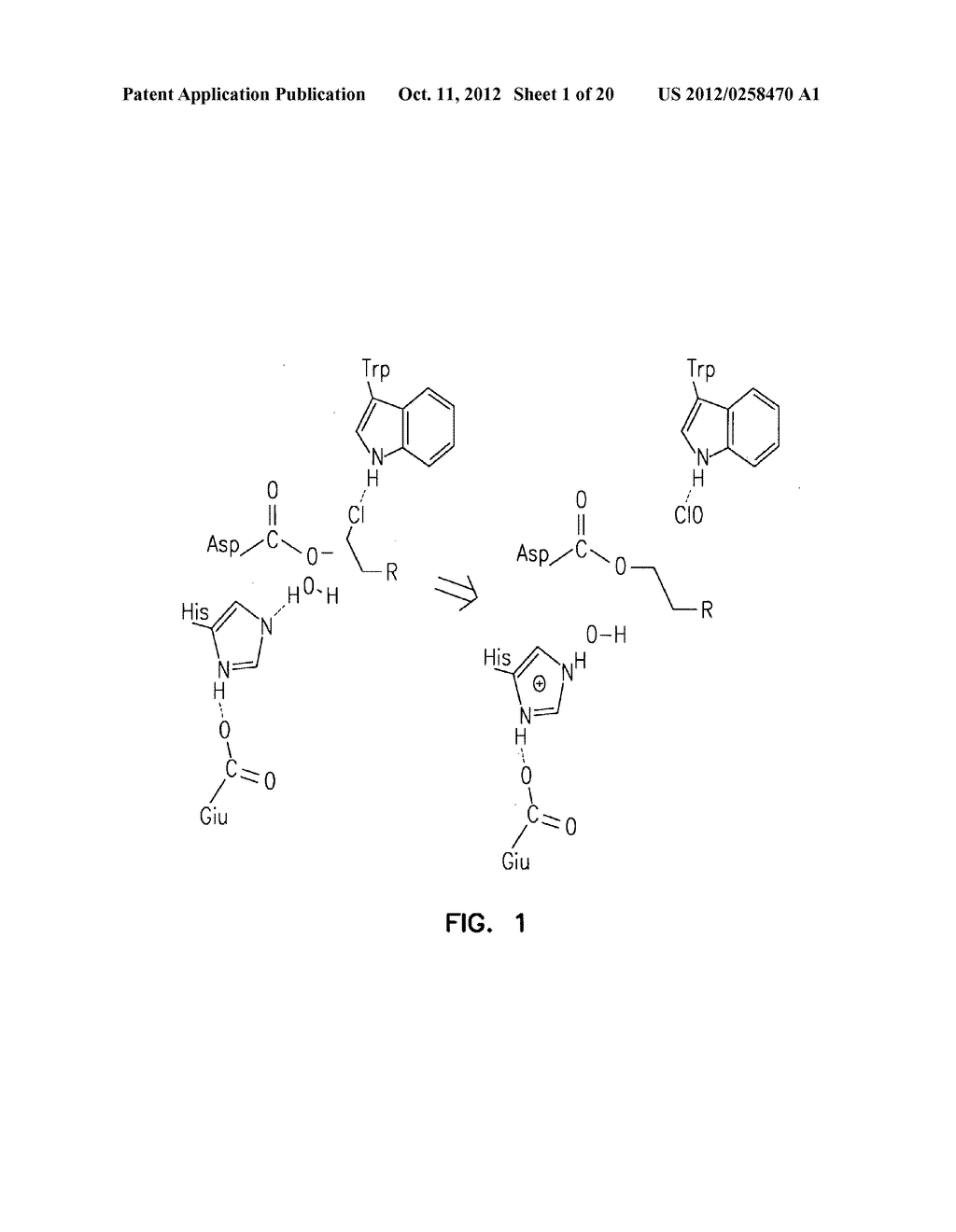 COMPOSITIONS COMPRISING A DEHALOGENASE SUBSTRATE AND A RADIONUCLIDE AND     METHODS OF USE - diagram, schematic, and image 02
