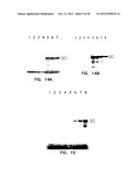 COMPOSITIONS COMPRISING A DEHALOGENASE SUBSTRATE AND A RADIONUCLIDE AND     METHODS OF USE diagram and image