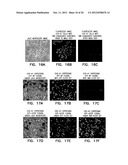 COMPOSITIONS COMPRISING A DEHALOGENASE SUBSTRATE AND A RADIONUCLIDE AND     METHODS OF USE diagram and image