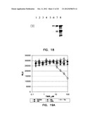 COMPOSITIONS COMPRISING A DEHALOGENASE SUBSTRATE AND A RADIONUCLIDE AND     METHODS OF USE diagram and image