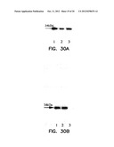 COMPOSITIONS COMPRISING A DEHALOGENASE SUBSTRATE AND A RADIONUCLIDE AND     METHODS OF USE diagram and image