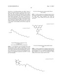 COMPOSITIONS COMPRISING A DEHALOGENASE SUBSTRATE AND A RADIONUCLIDE AND     METHODS OF USE diagram and image