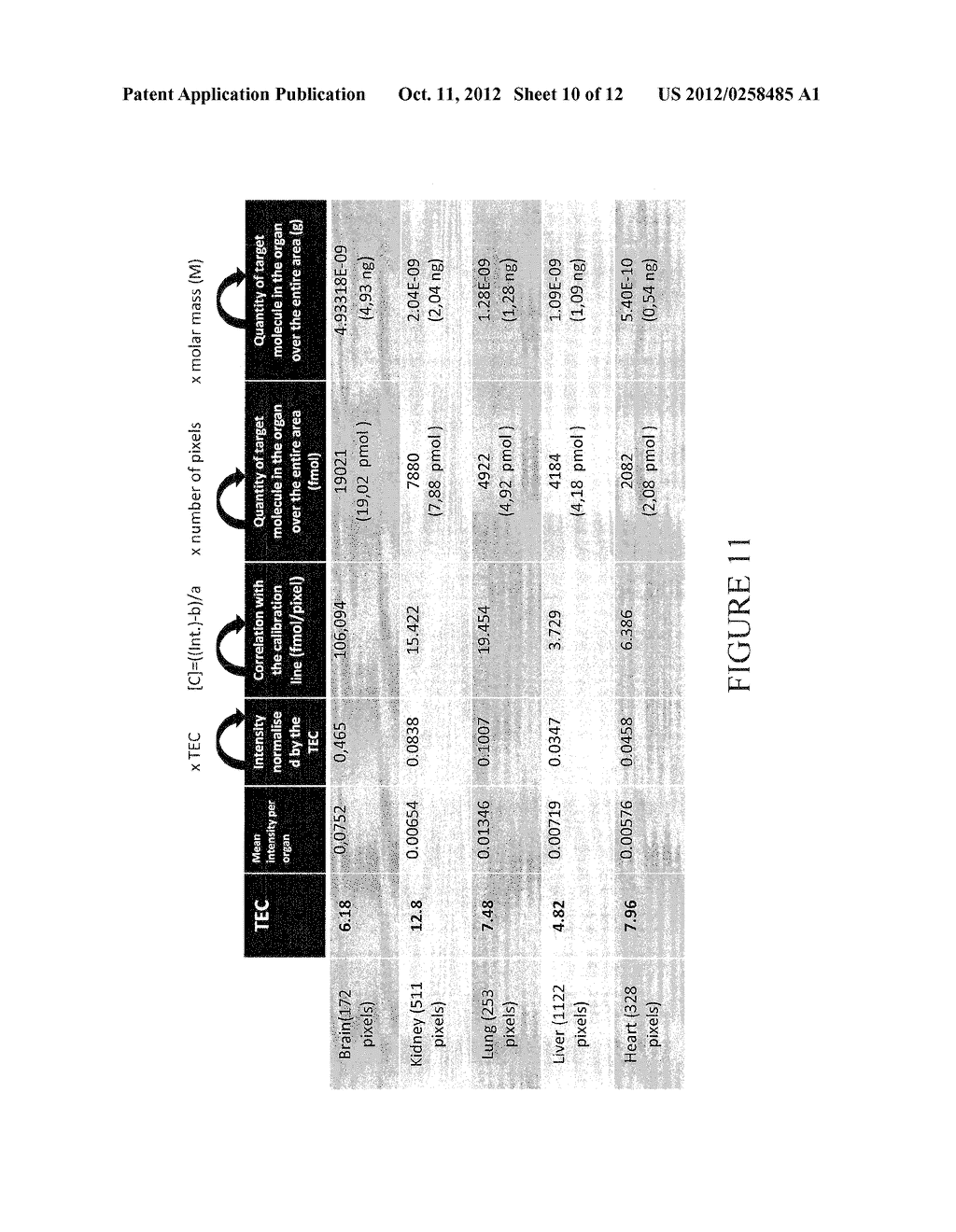 METHOD FOR DETECTING AND QUANTIFYING A TARGET MOLECULE IN A SAMPLE - diagram, schematic, and image 11