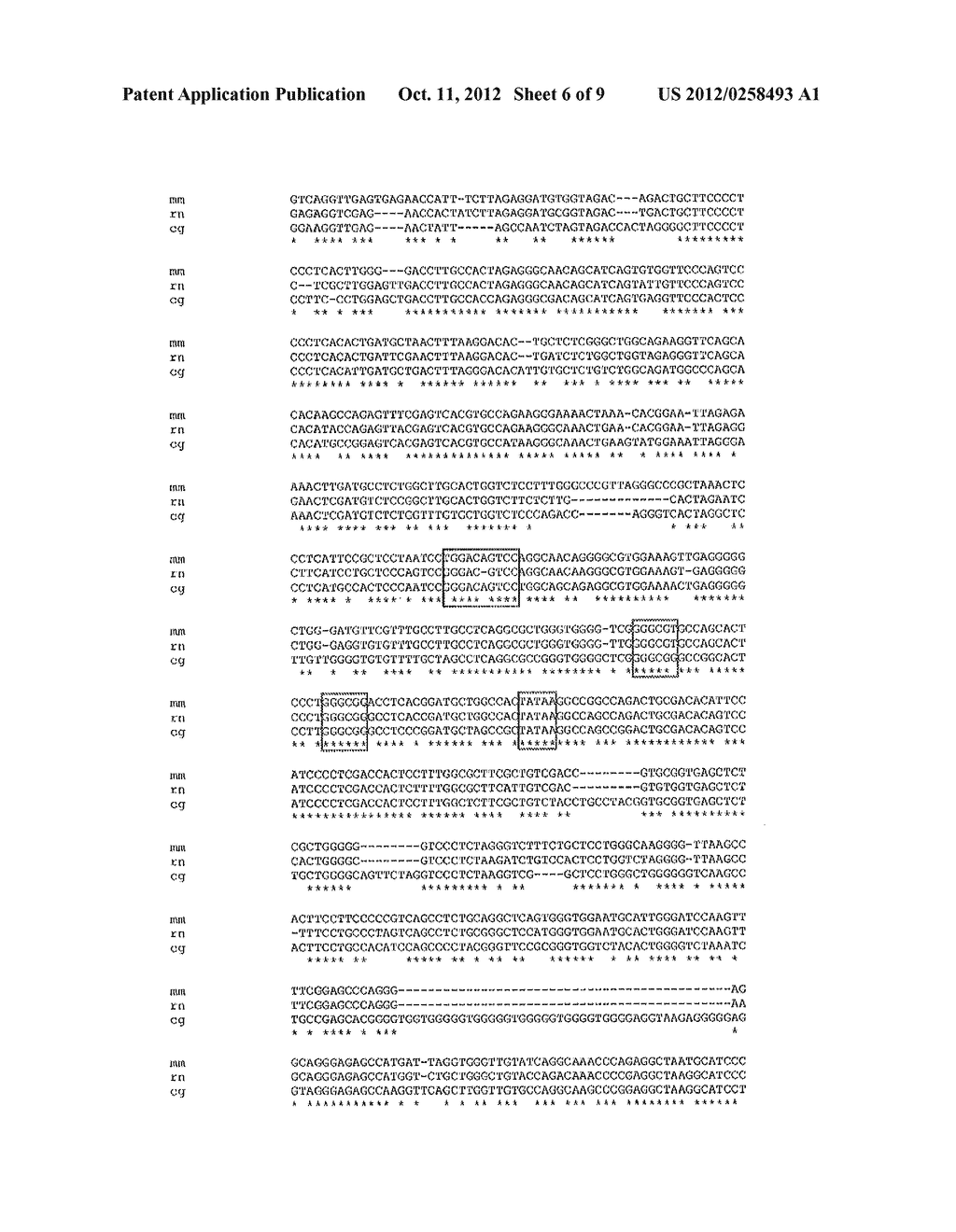 PROMOTER SEQUENCES - diagram, schematic, and image 07