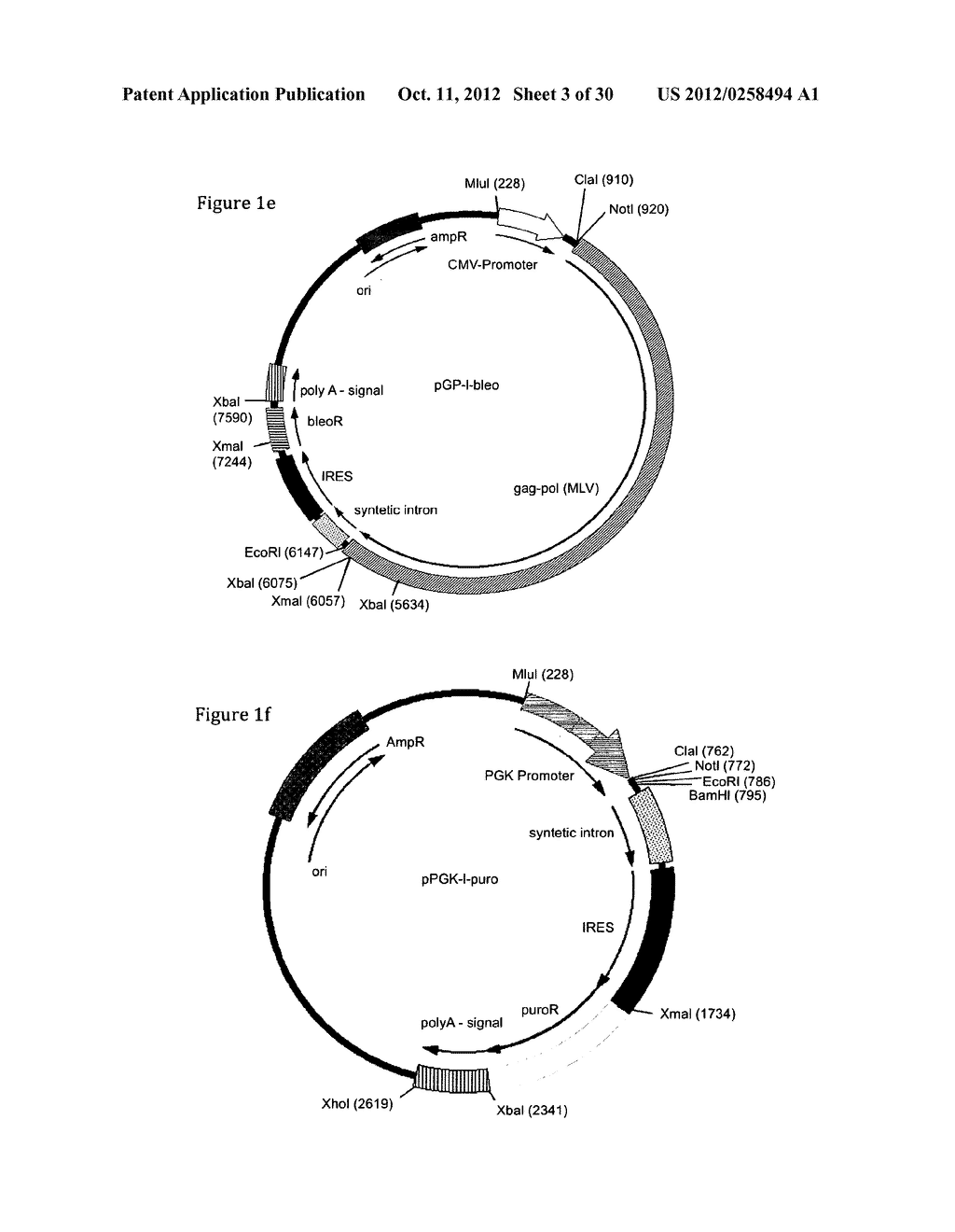 Retroviral Vector Particles and Methods for their Generation and Use - diagram, schematic, and image 04