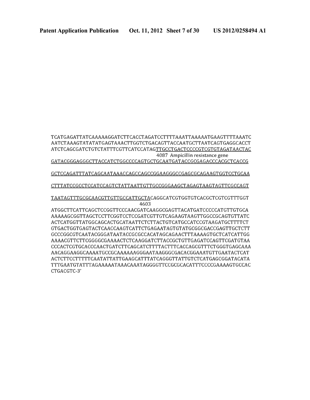 Retroviral Vector Particles and Methods for their Generation and Use - diagram, schematic, and image 08