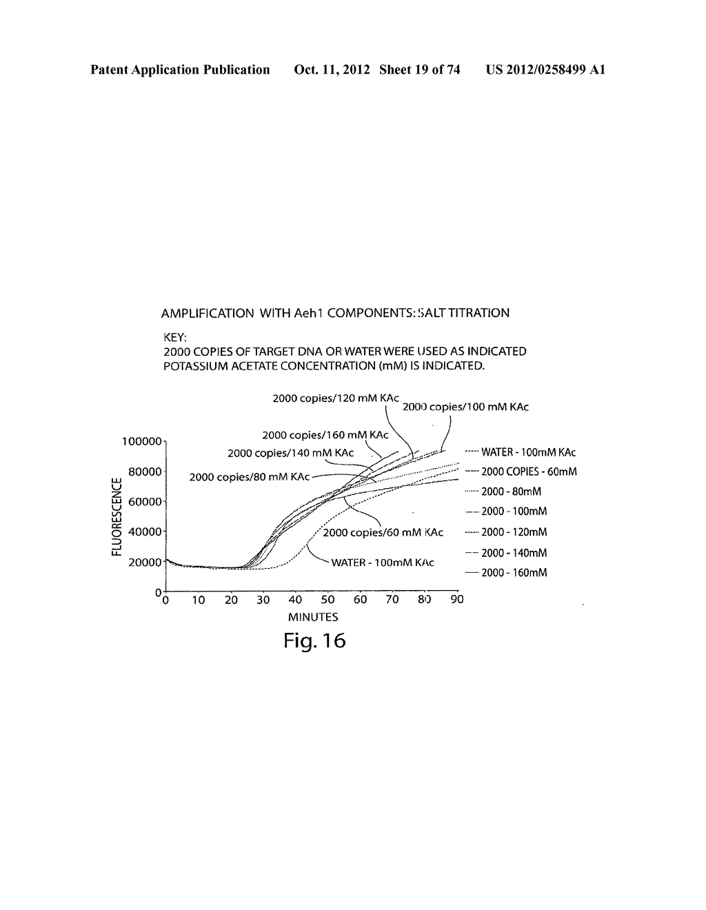 Recombinase Polymerase Amplification - diagram, schematic, and image 20