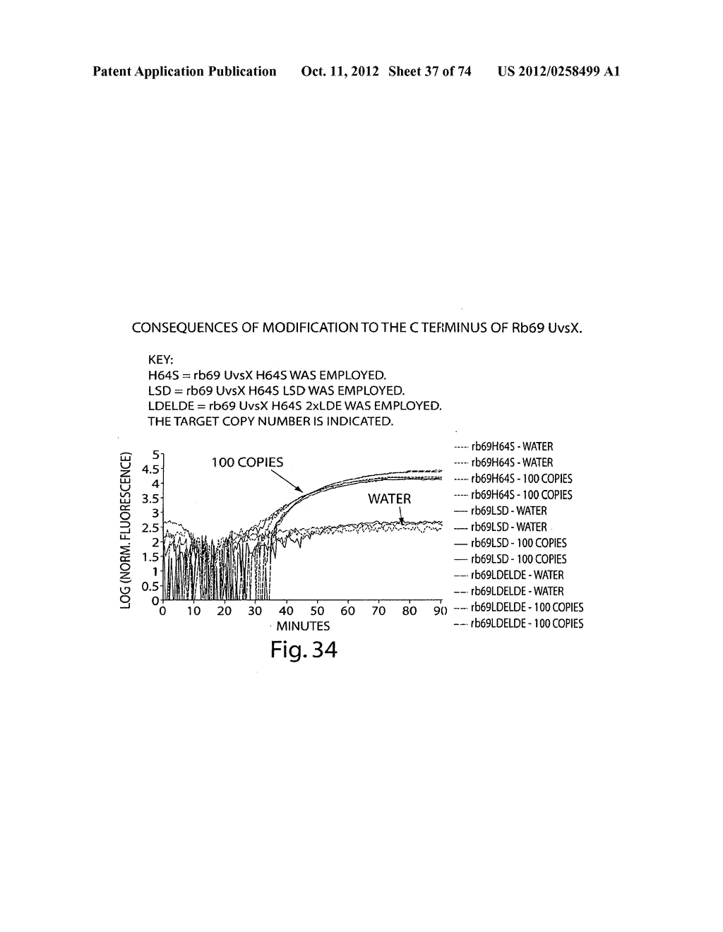 Recombinase Polymerase Amplification - diagram, schematic, and image 38