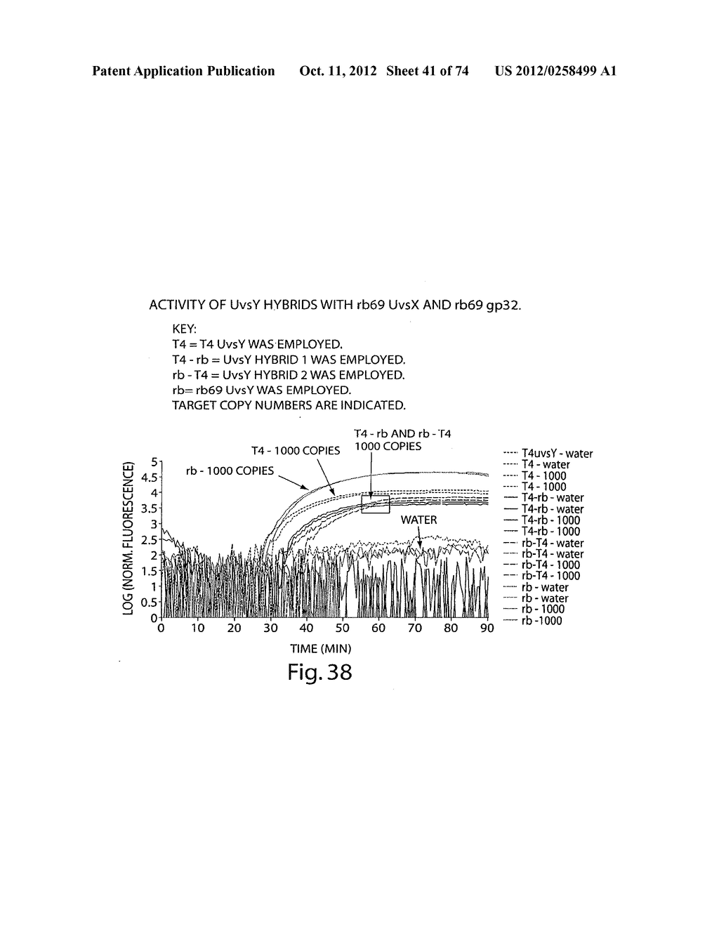 Recombinase Polymerase Amplification - diagram, schematic, and image 42