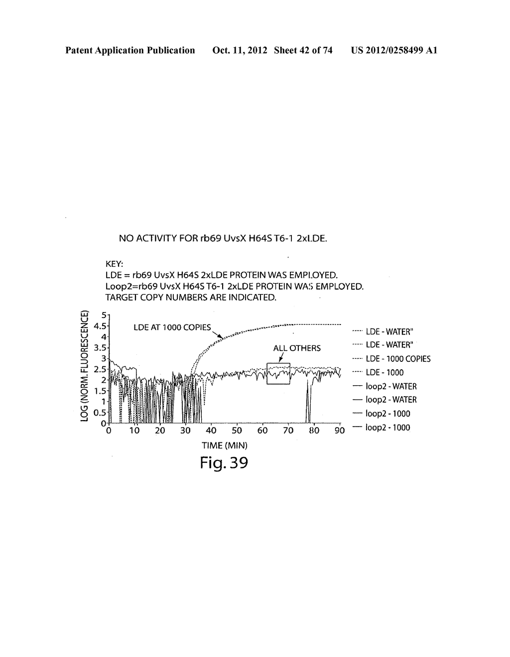 Recombinase Polymerase Amplification - diagram, schematic, and image 43