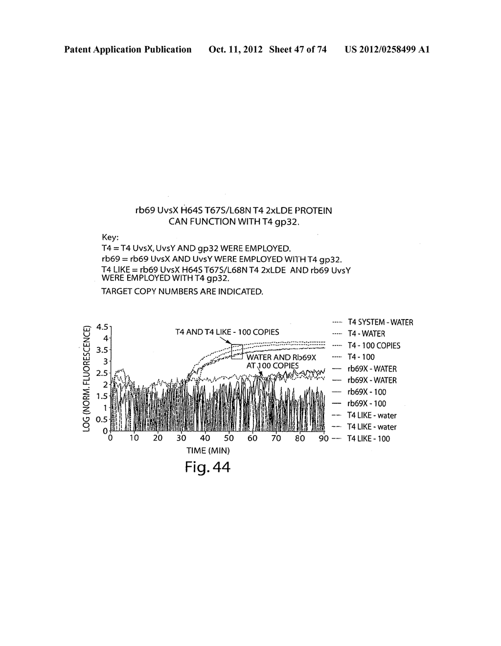 Recombinase Polymerase Amplification - diagram, schematic, and image 48