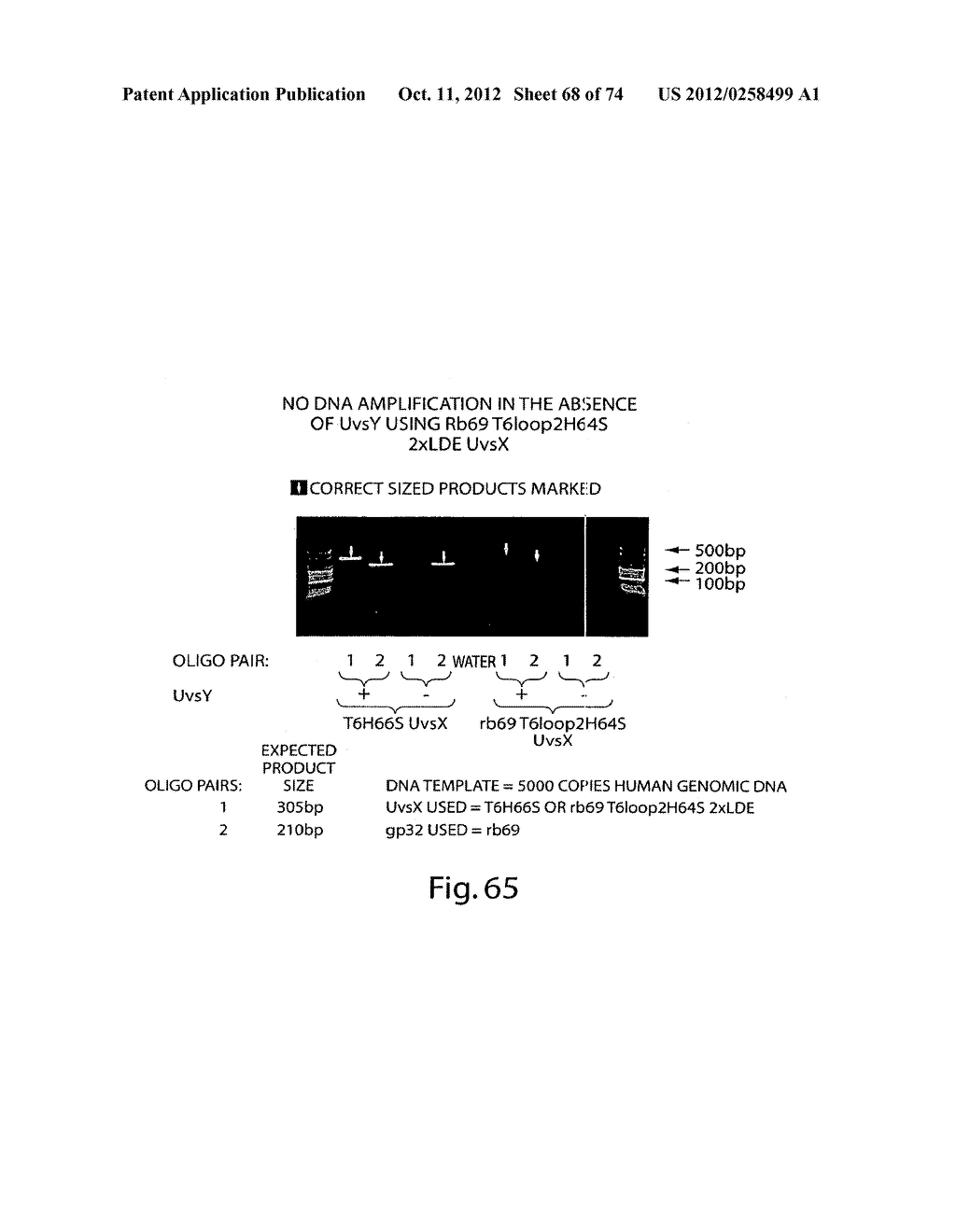 Recombinase Polymerase Amplification - diagram, schematic, and image 69