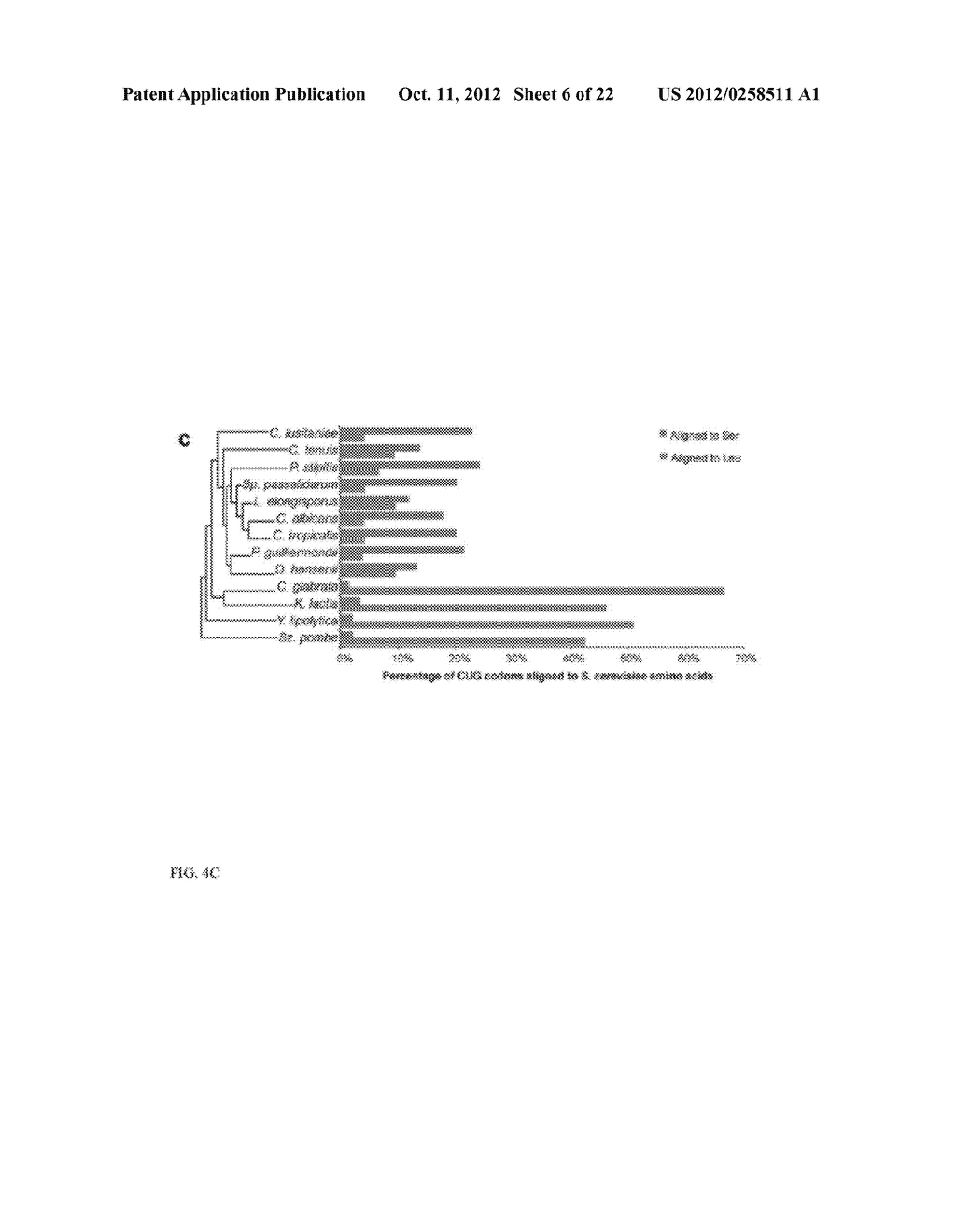 GENES RELATED TO XYLOSE FERMENTATION AND METHODS OF USING SAME FOR     ENHANCED BIOFUEL PRODUCTION - diagram, schematic, and image 07