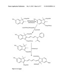 Kits for analysis of biological samples diagram and image