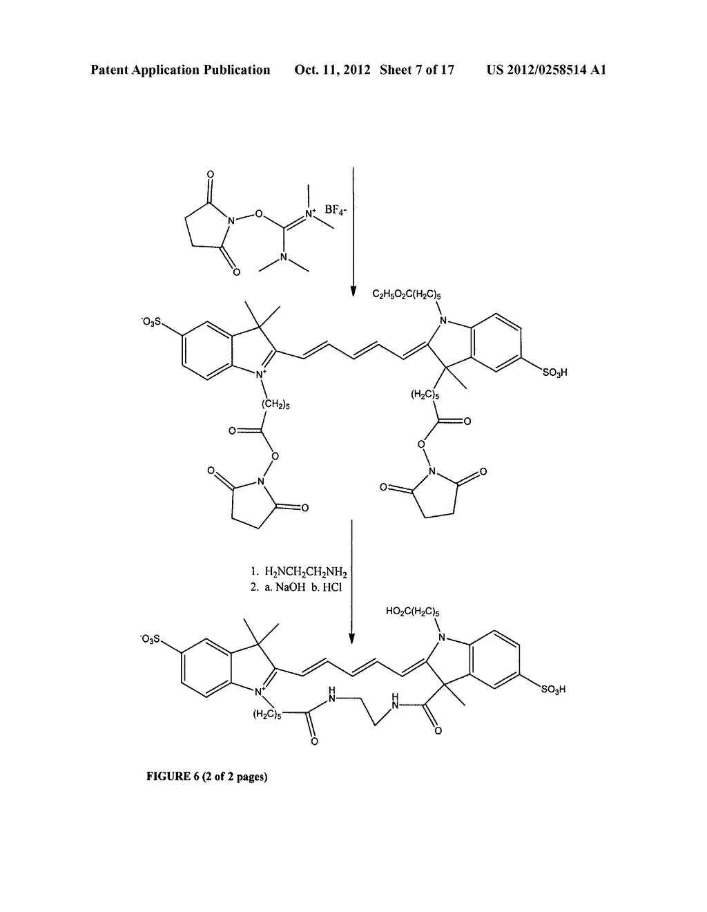 Kits for analysis of biological samples - diagram, schematic, and image 08