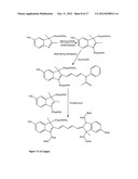 Kits for analysis of biological samples diagram and image