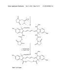 Kits for analysis of biological samples diagram and image