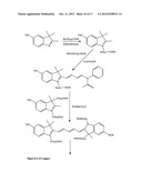 Kits for analysis of biological samples diagram and image