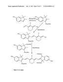 Kits for analysis of biological samples diagram and image