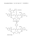 Kits for analysis of biological samples diagram and image