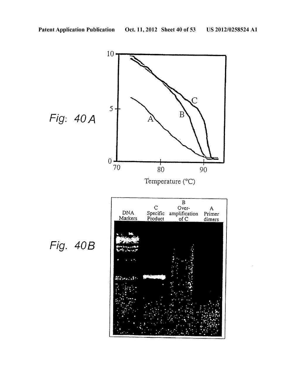 Annealing Curve Analysis In PCR - diagram, schematic, and image 41