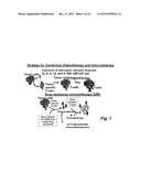 DRUG RESISTANT IMMUNOTHERAPY FOR TREATMENT OF A CANCER diagram and image