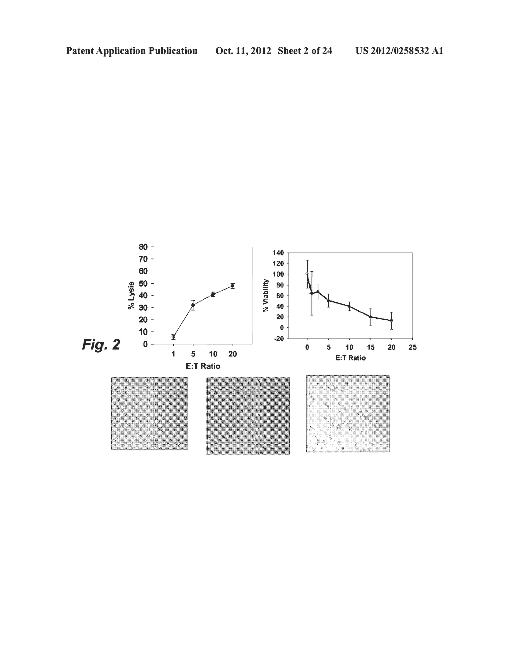 DRUG RESISTANT IMMUNOTHERAPY FOR TREATMENT OF A CANCER - diagram, schematic, and image 03