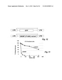 DRUG RESISTANT IMMUNOTHERAPY FOR TREATMENT OF A CANCER diagram and image