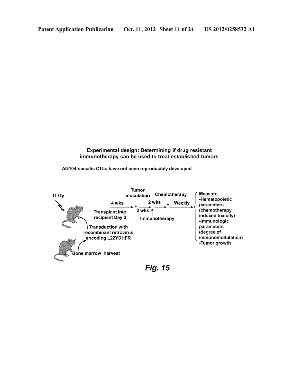 DRUG RESISTANT IMMUNOTHERAPY FOR TREATMENT OF A CANCER - diagram, schematic, and image 12