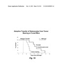 DRUG RESISTANT IMMUNOTHERAPY FOR TREATMENT OF A CANCER diagram and image