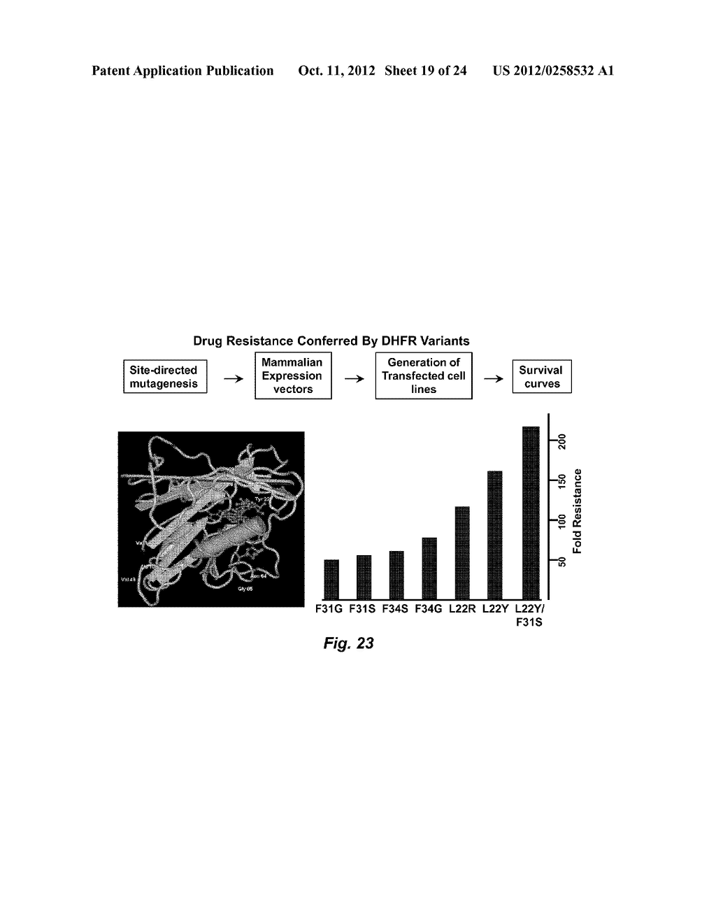 DRUG RESISTANT IMMUNOTHERAPY FOR TREATMENT OF A CANCER - diagram, schematic, and image 20