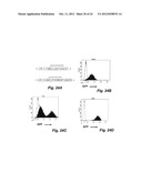 DRUG RESISTANT IMMUNOTHERAPY FOR TREATMENT OF A CANCER diagram and image