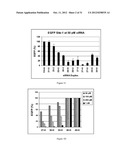 METHODS AND COMPOSITIONS FOR THE SPECIFIC INHIBITION OF GENE EXPRESSION BY     DOUBLE-STRANDED RNA diagram and image