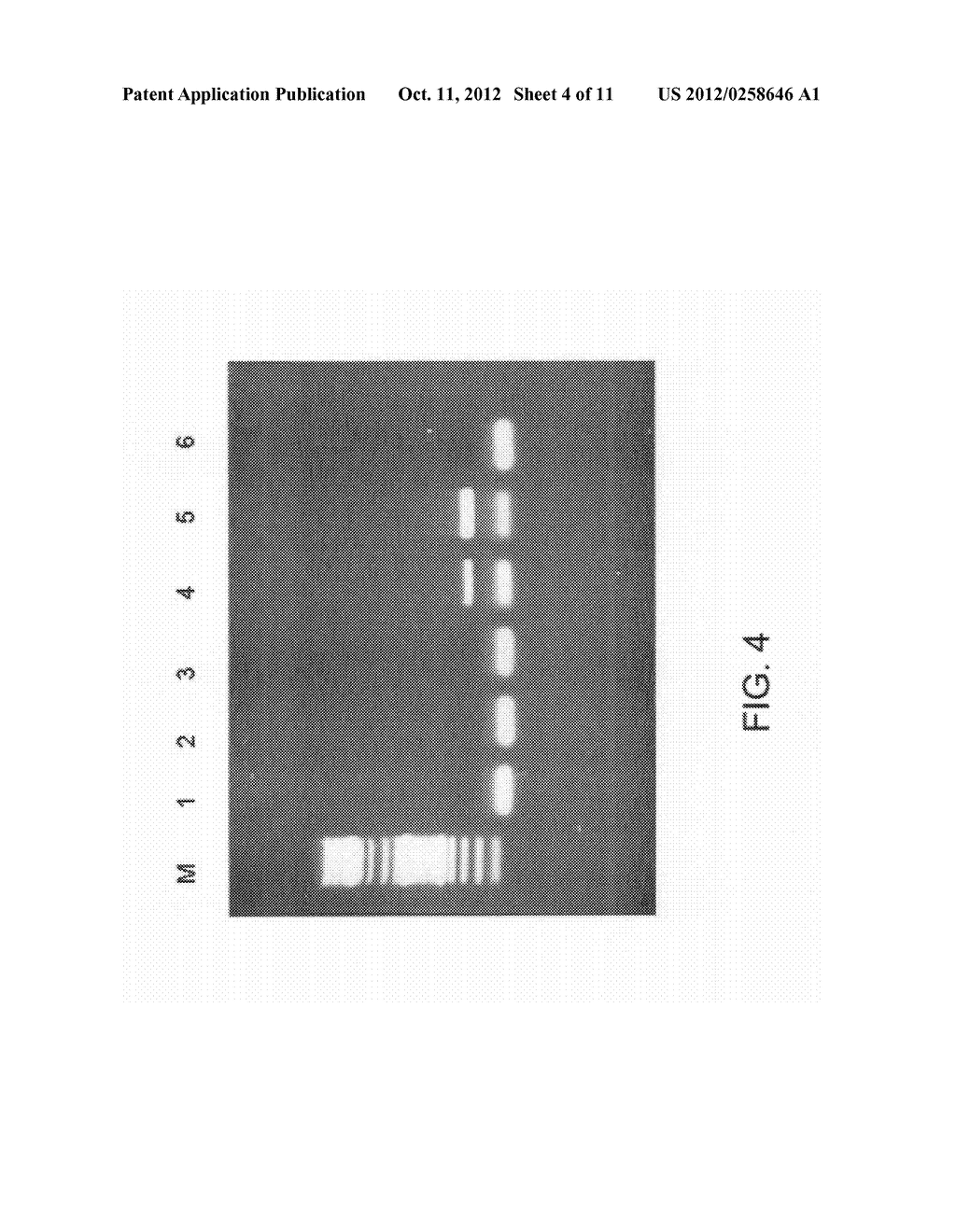 Compositions for Controlling Varroa Mites in Bees - diagram, schematic, and image 05