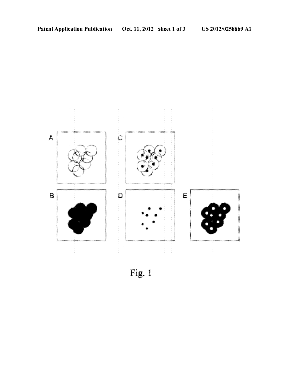 Method for Sequencing a Polynucelotide Template - diagram, schematic, and image 02