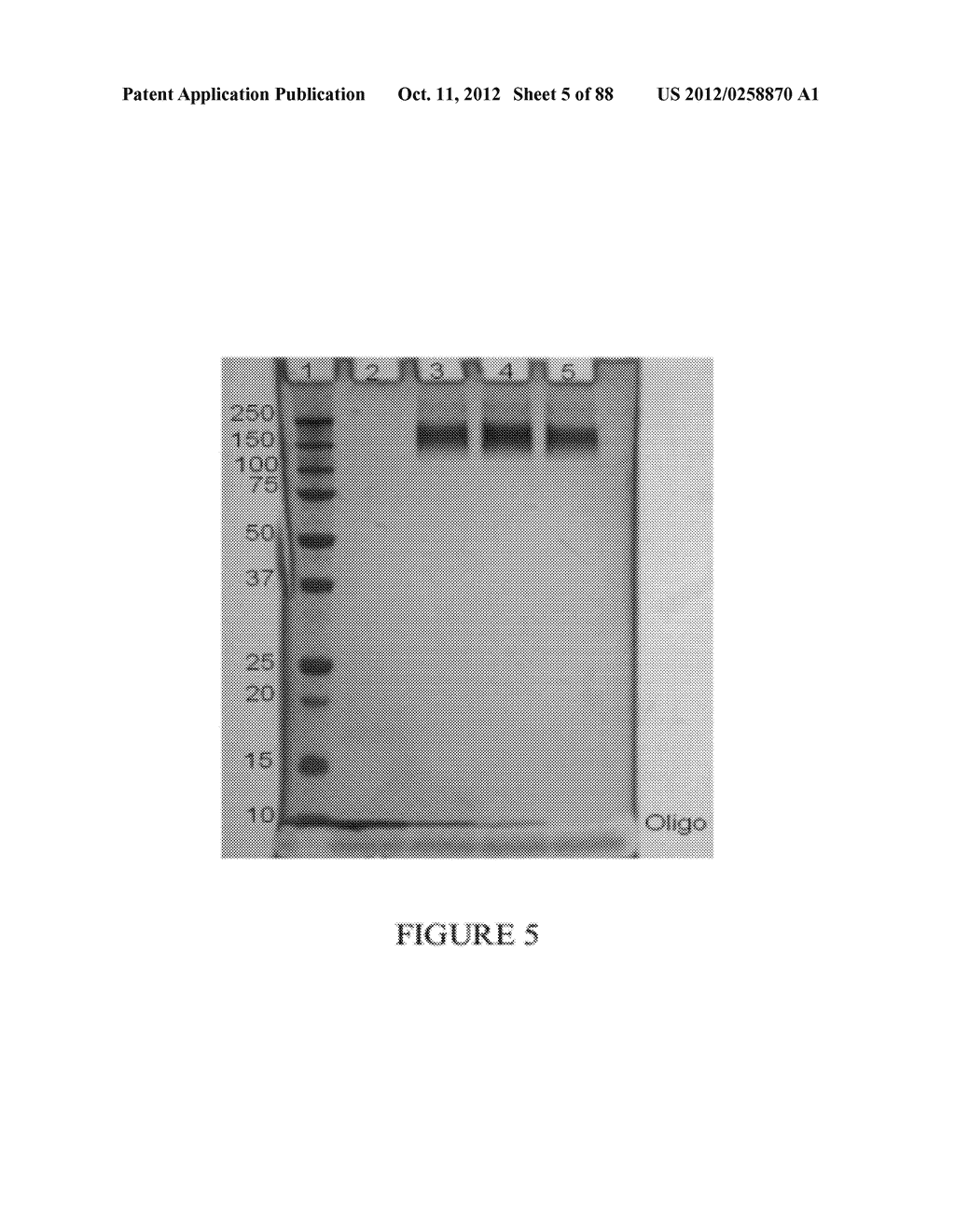 Methods, Systems, and/or Use of Oligonucleotide Conjugates to Develop     Panels for Use in Assays and Detections - diagram, schematic, and image 06