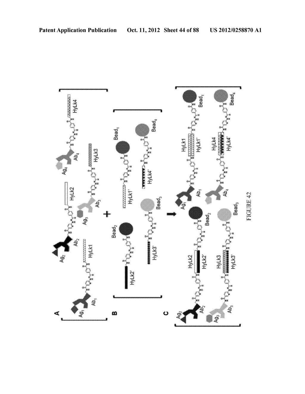 Methods, Systems, and/or Use of Oligonucleotide Conjugates to Develop     Panels for Use in Assays and Detections - diagram, schematic, and image 45