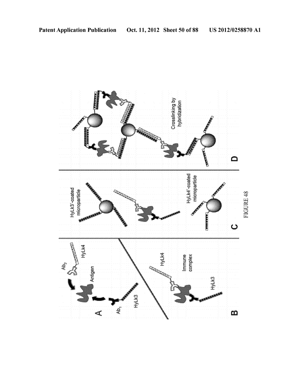 Methods, Systems, and/or Use of Oligonucleotide Conjugates to Develop     Panels for Use in Assays and Detections - diagram, schematic, and image 51