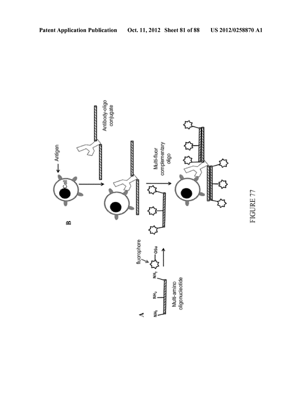 Methods, Systems, and/or Use of Oligonucleotide Conjugates to Develop     Panels for Use in Assays and Detections - diagram, schematic, and image 82