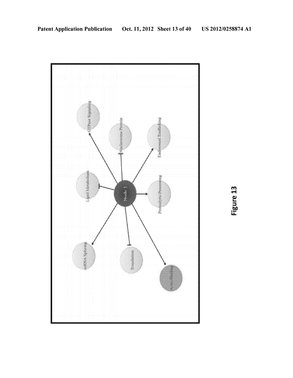 INTERROGATORY CELL-BASED ASSAYS AND USES THEREOF - diagram, schematic, and image 14